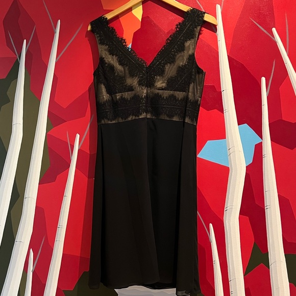 JS Collections Lace Dress - Picture 4 of 4
